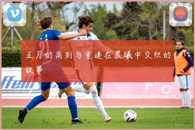 五月的离别与重逢在晨曦中交织的故事